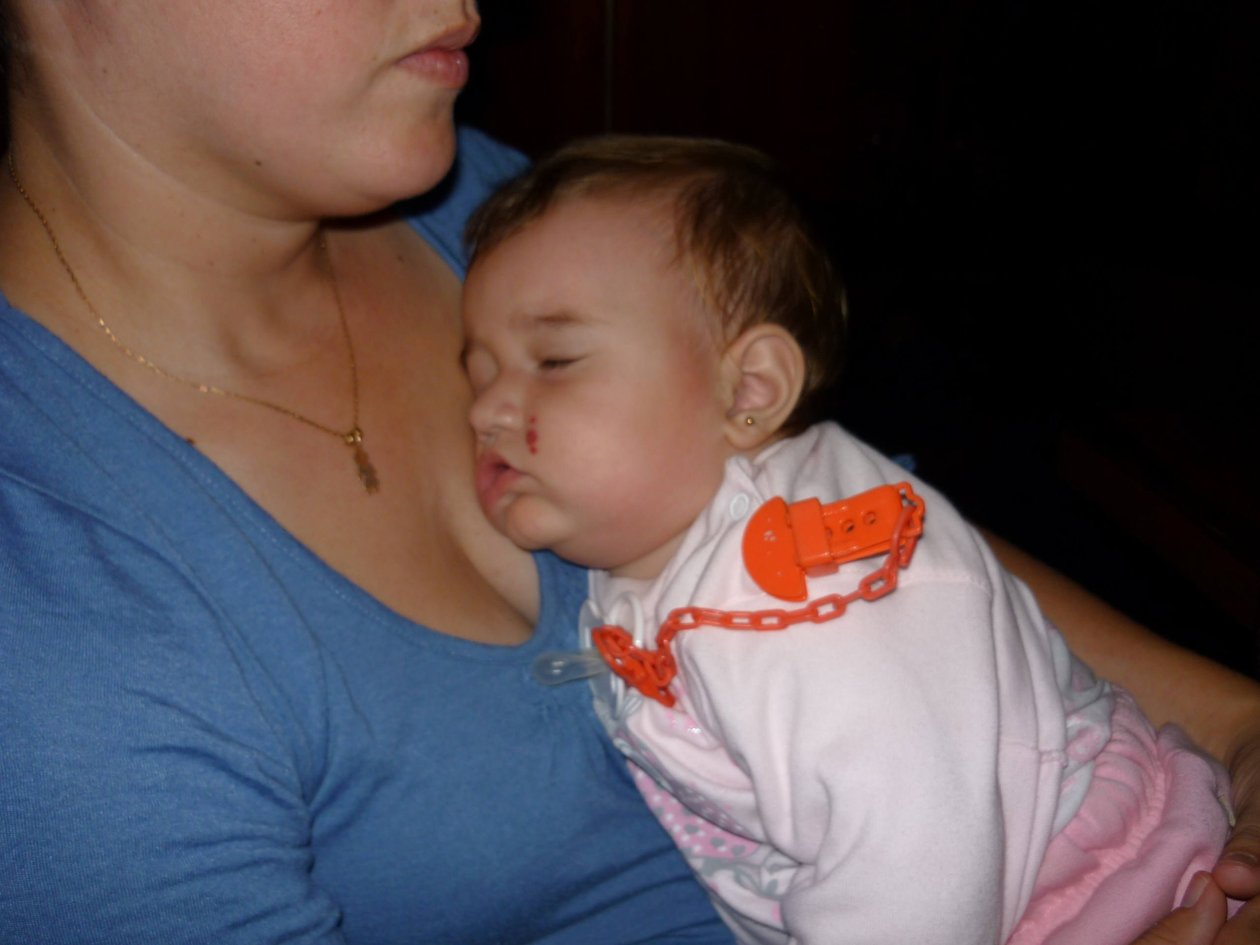 fotos/2011 - Los Reartes/P1010854.JPG